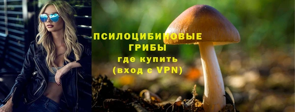 молекула духа Аркадак