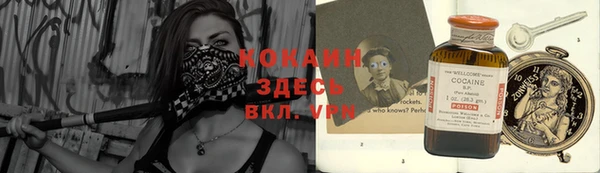 гашик Алексеевка