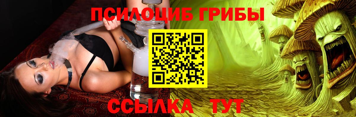 Псилоцибиновые грибы прущие грибы  Вход с VPN  Псилоцибиновые грибы GOLDEN TEACHER  купить наркотики сайты  Мытищи 