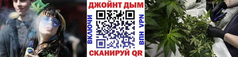 как найти наркотики  MEGA как зайти  Шишки марихуана сатива  площадка официальный сайт  Мытищи 